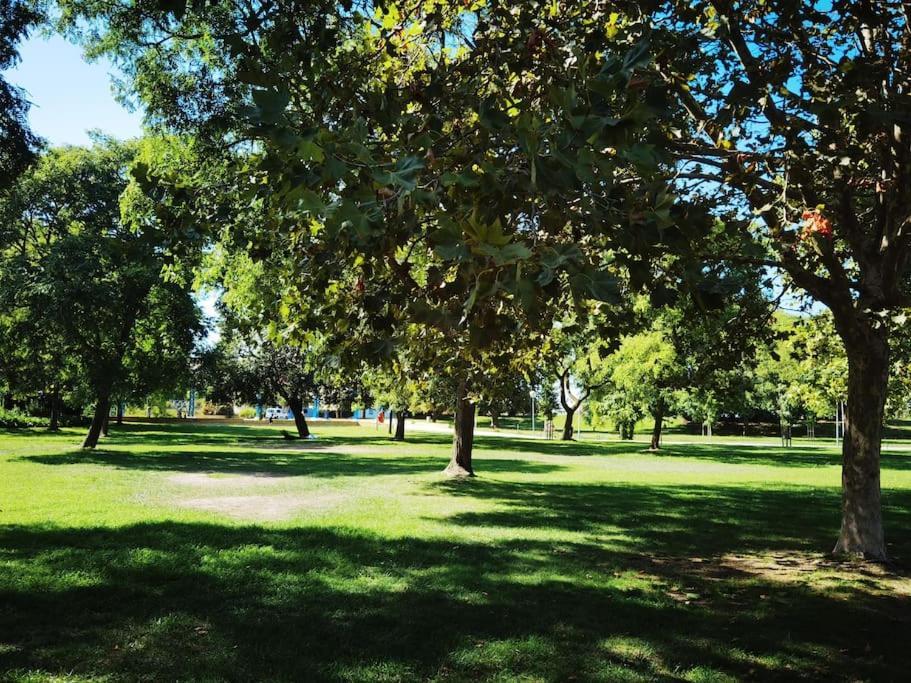 The Whole Villa, Near A Large Park And A Quiet Beach Barreiro  Exterior photo