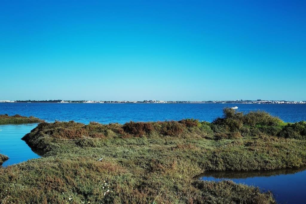 The Whole Villa, Near A Large Park And A Quiet Beach Barreiro  Exterior photo